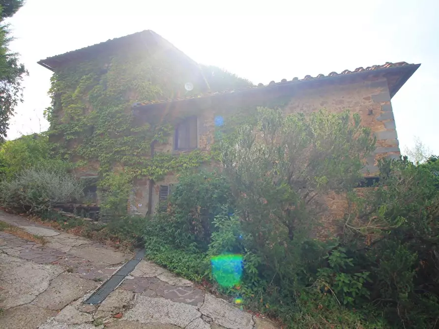Immagine 6 di Casa colonica in vendita  a Vinci