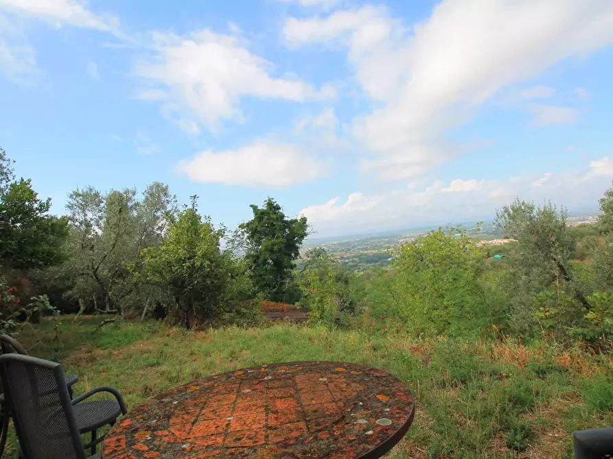Immagine 15 di Casa colonica in vendita  a Vinci