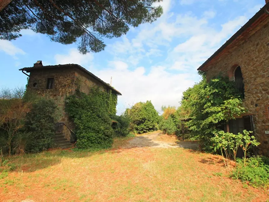 Immagine 11 di Casa colonica in vendita  a Vinci