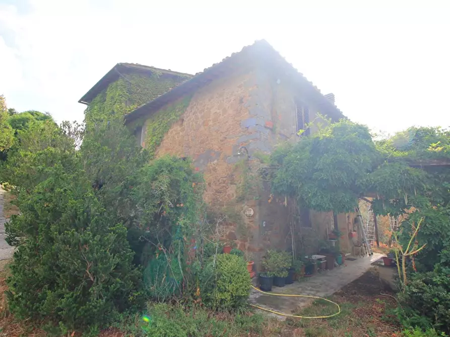 Immagine 10 di Casa colonica in vendita  a Vinci