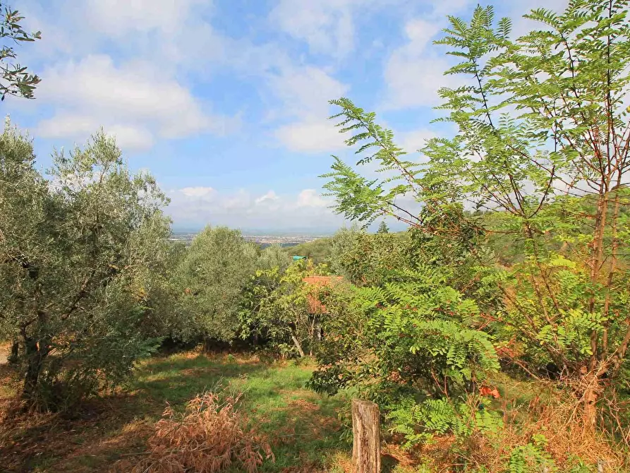 Immagine 7 di Casa colonica in vendita  a Vinci