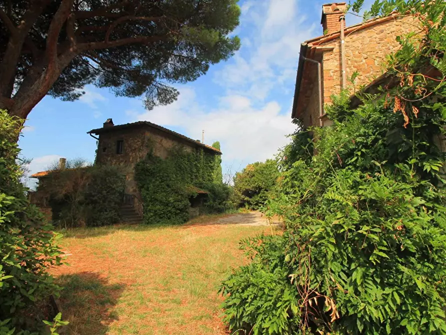 Immagine 5 di Casa colonica in vendita  a Vinci