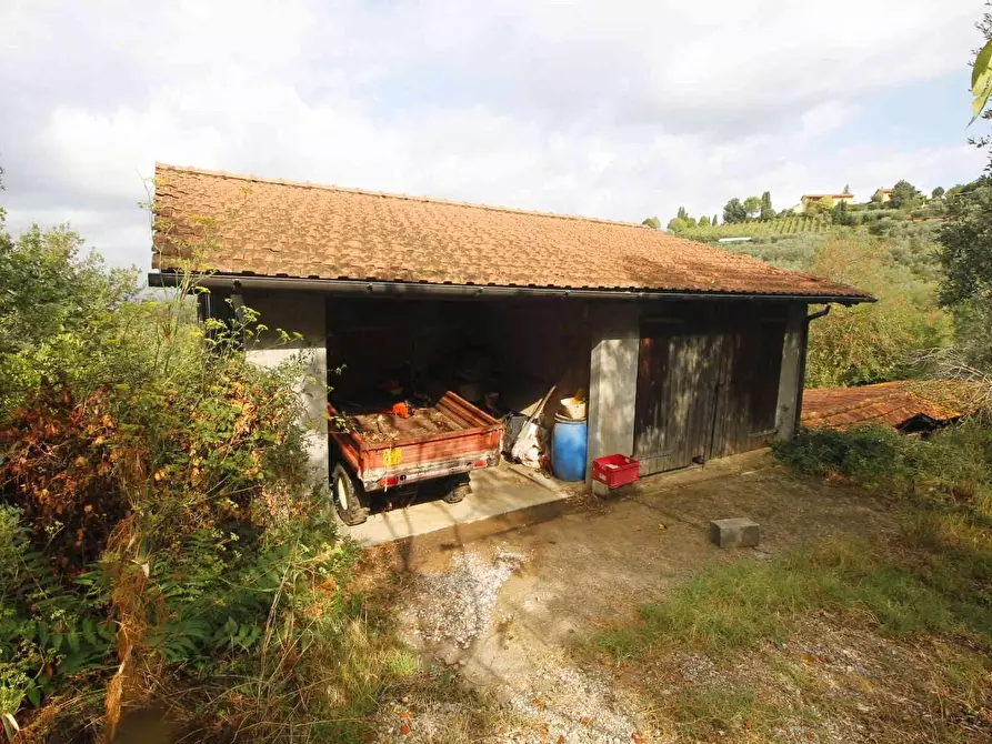 Immagine 18 di Casa colonica in vendita  a Vinci