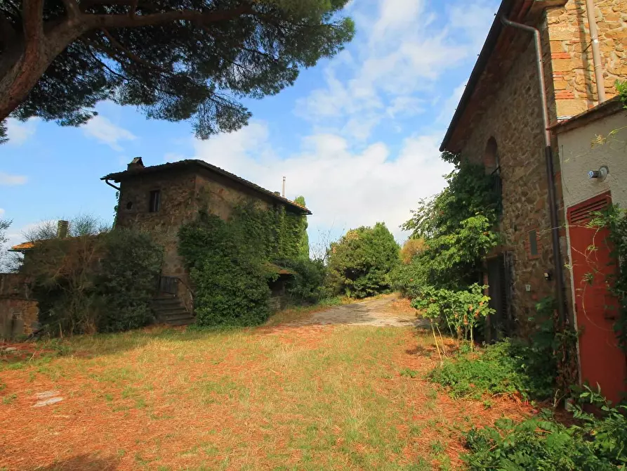 Immagine 4 di Casa colonica in vendita  a Vinci