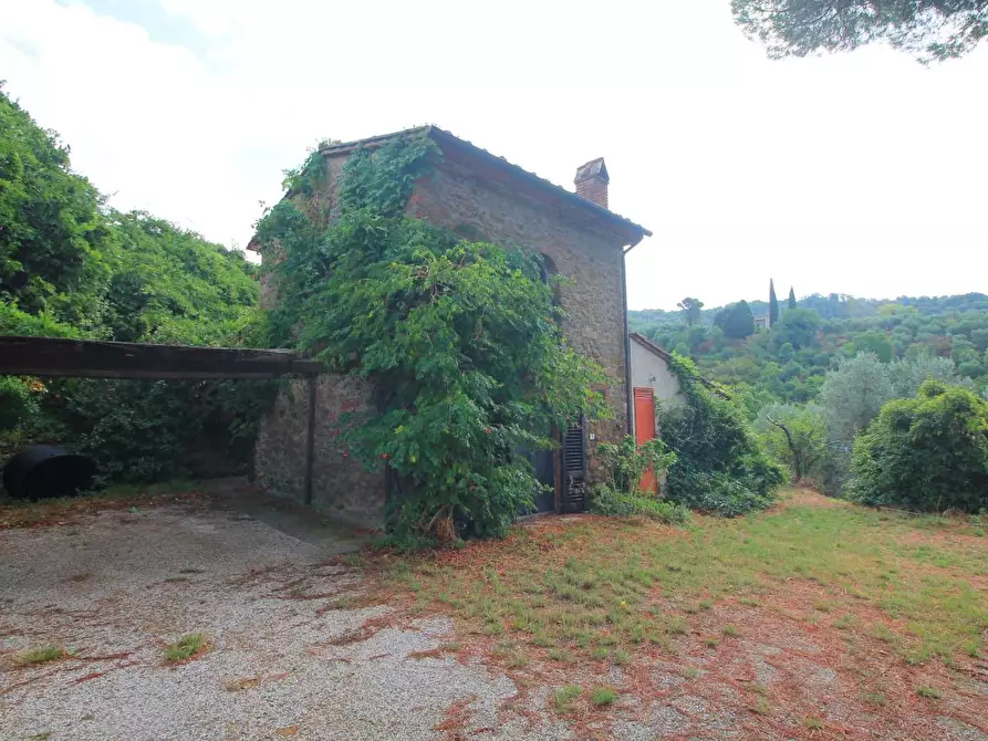Immagine 14 di Casa colonica in vendita  a Vinci