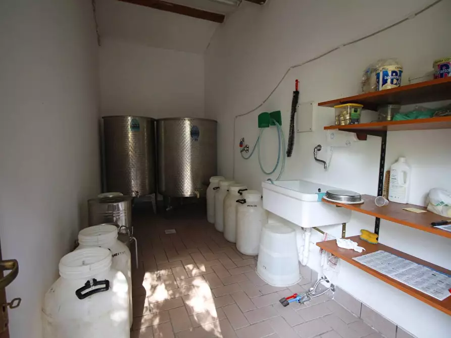 Immagine 27 di Casa colonica in vendita  a Vinci