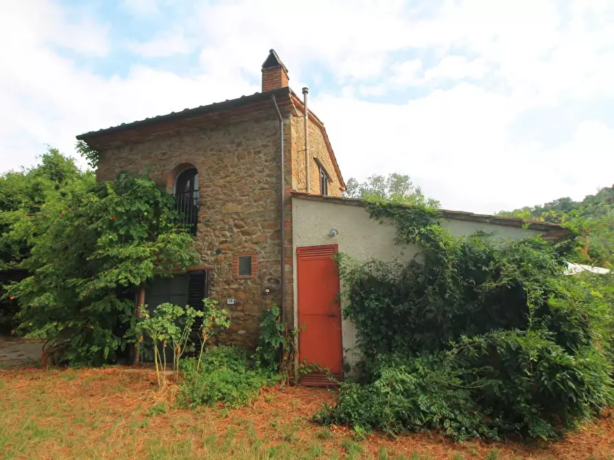 Immagine 12 di Casa colonica in vendita  a Vinci