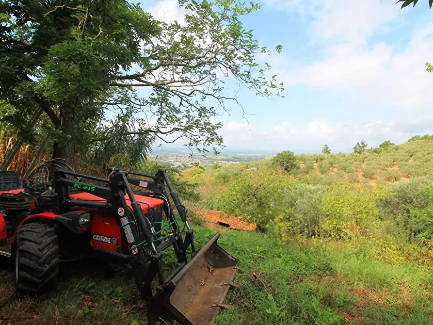 Immagine 19 di Casa colonica in vendita  a Vinci