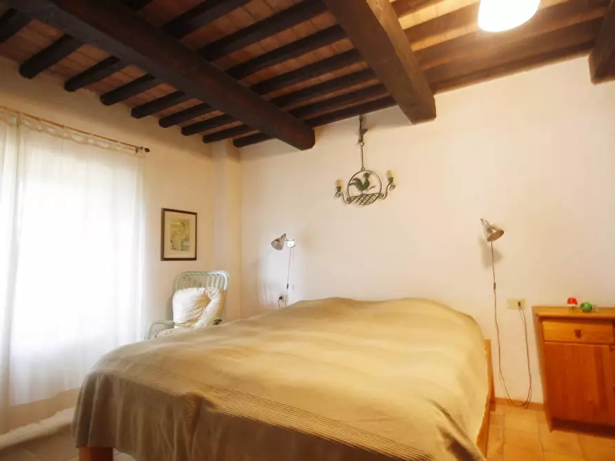 Immagine 24 di Casa colonica in vendita  a Vinci