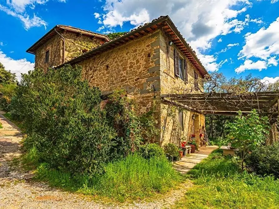 Immagine 9 di Casa colonica in vendita  a Vinci