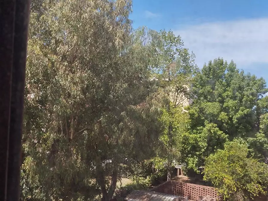 Immagine 10 di Appartamento in vendita  a Pisa