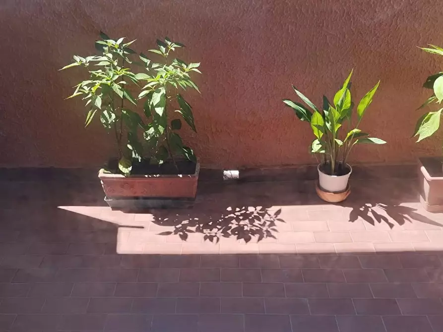 Immagine 6 di Appartamento in vendita  a Pisa