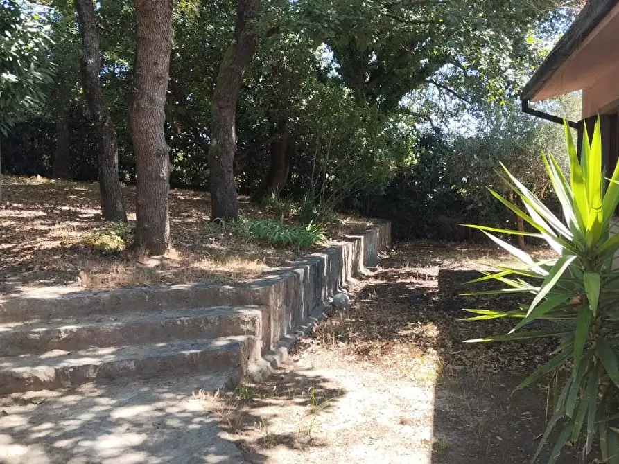 Immagine 13 di Villa in vendita  a Vicopisano