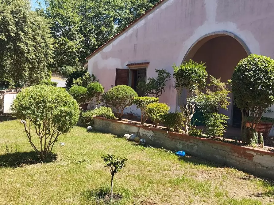Immagine 5 di Villa in vendita  a Vicopisano