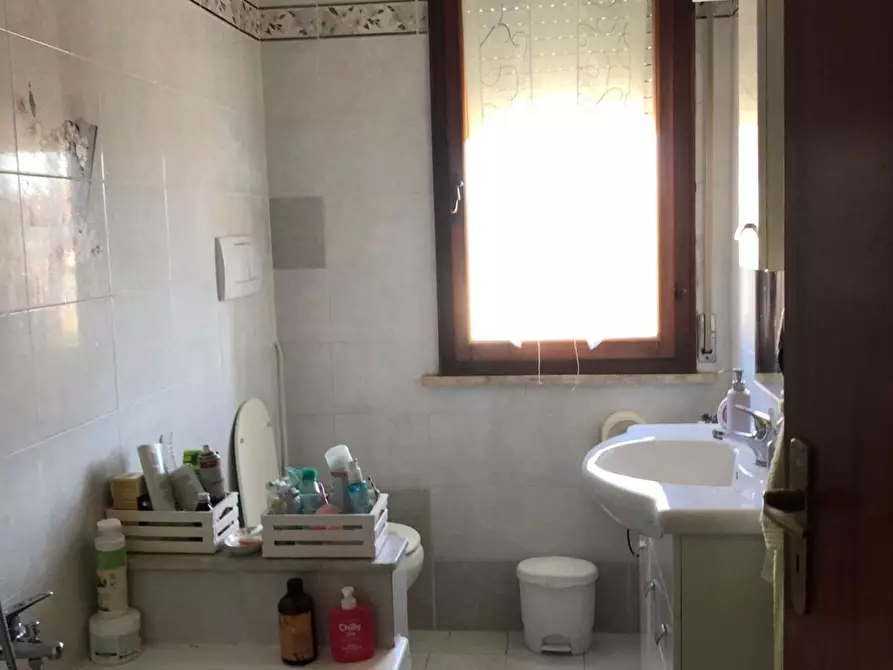 Immagine 9 di Appartamento in vendita  a Pontedera