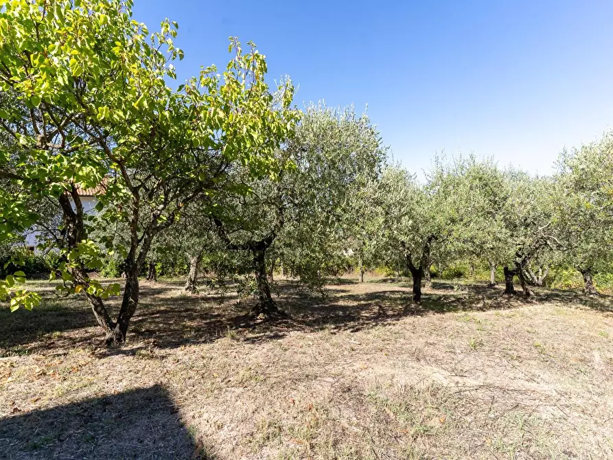 Immagine 16 di Villa in vendita  a Montaione