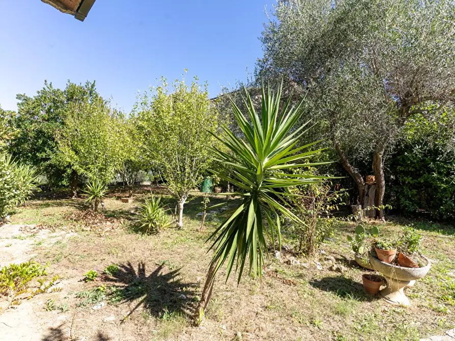 Immagine 15 di Villa in vendita  a Montaione