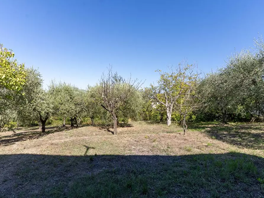 Immagine 18 di Villa in vendita  a Montaione