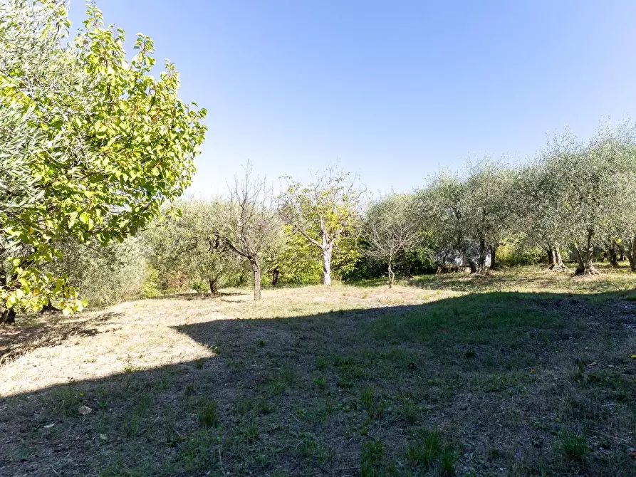 Immagine 13 di Villa in vendita  a Montaione