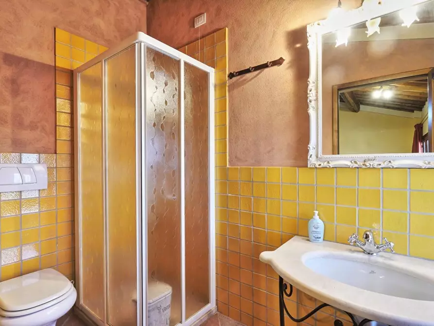 Immagine 24 di Casa colonica in vendita  a Gambassi Terme