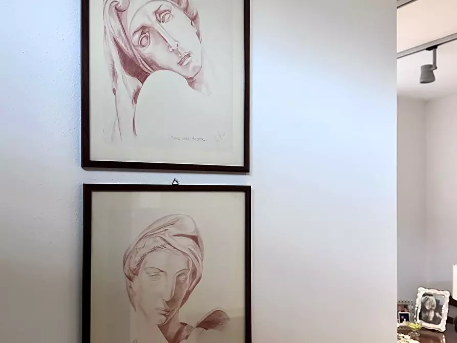 Immagine 15 di Villa in vendita  a Carrara