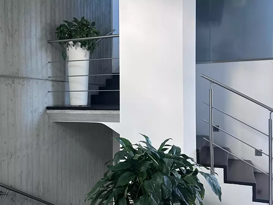 Immagine 10 di Villa in vendita  a Carrara