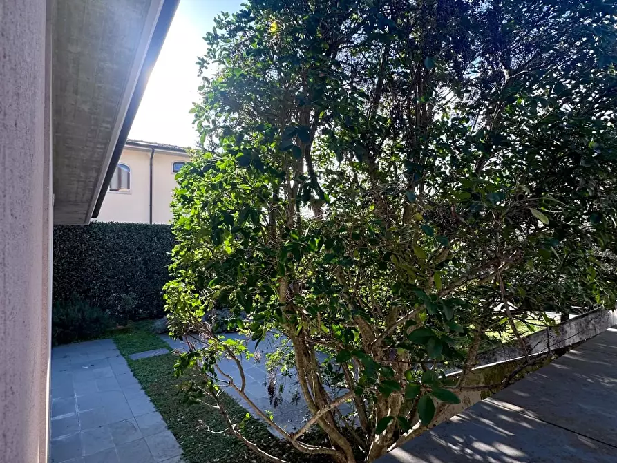 Immagine 7 di Villa in vendita  a Carrara