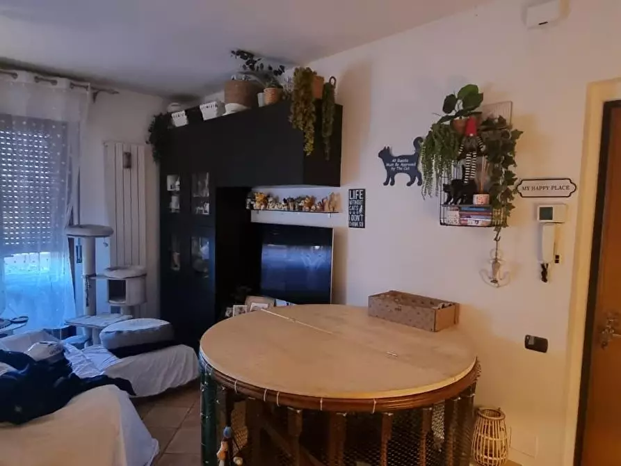 Immagine 9 di Appartamento in vendita  a San Giuliano Terme