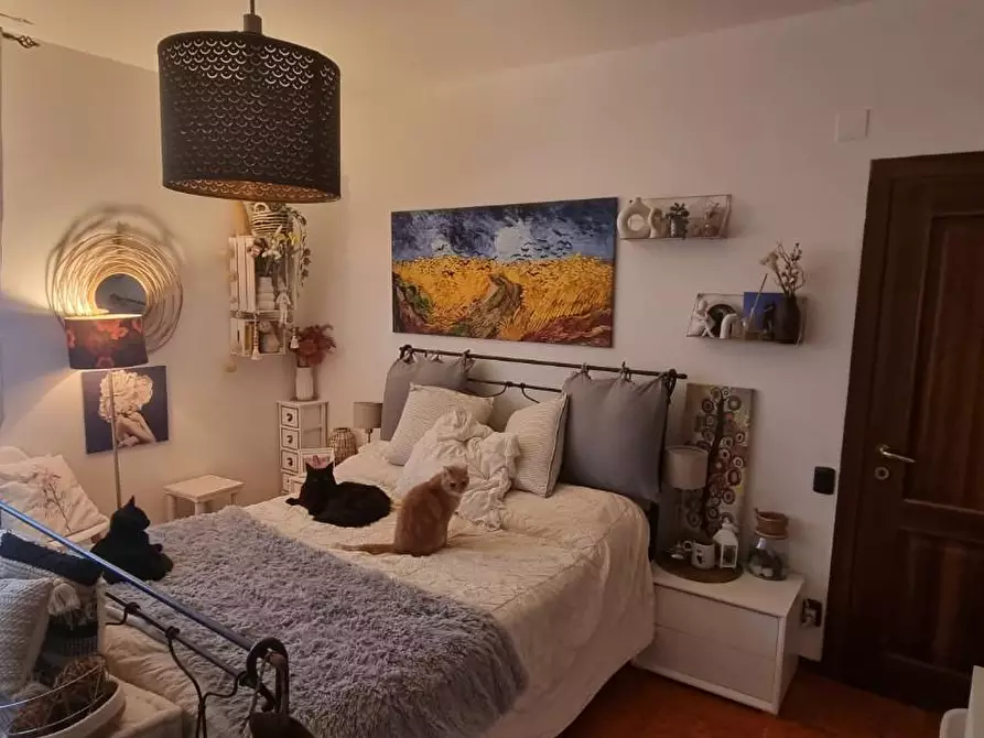 Immagine 11 di Appartamento in vendita  a San Giuliano Terme