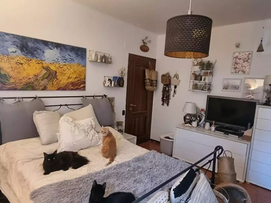 Immagine 12 di Appartamento in vendita  a San Giuliano Terme