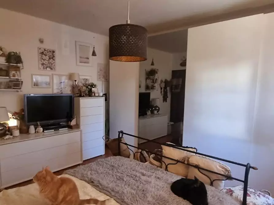 Immagine 13 di Appartamento in vendita  a San Giuliano Terme