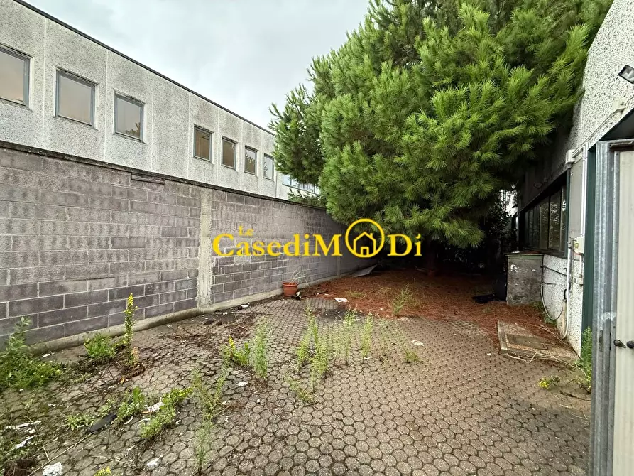 Immagine 1 di Capannone industriale in affitto  a Livorno