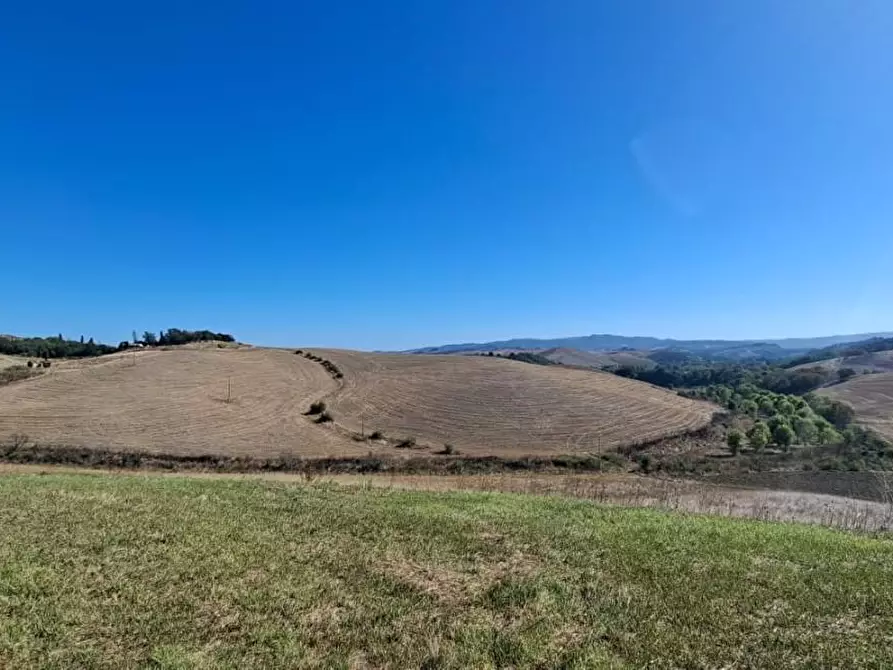 Immagine 3 di Casa colonica in vendita  a Lajatico