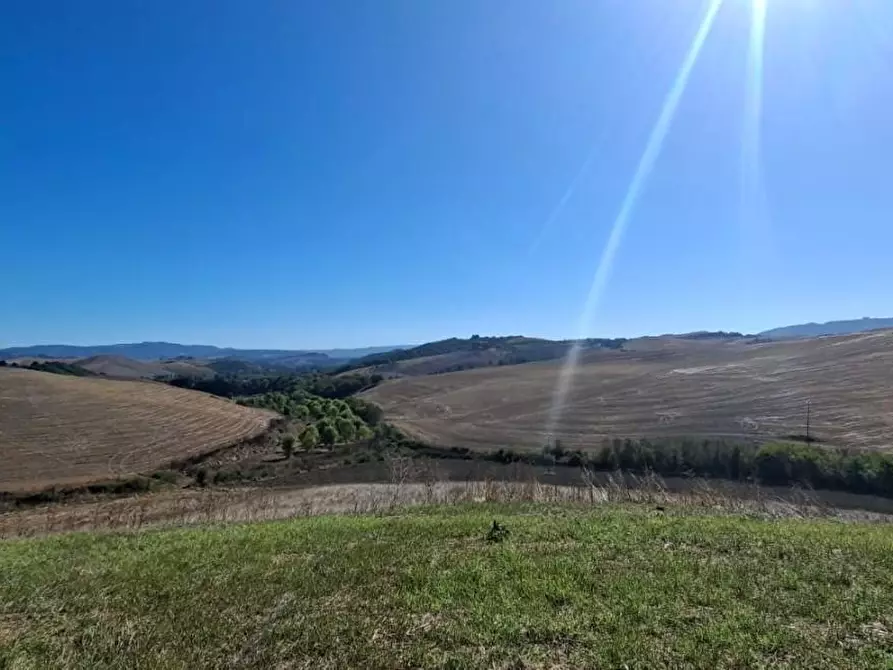 Immagine 2 di Casa colonica in vendita  a Lajatico