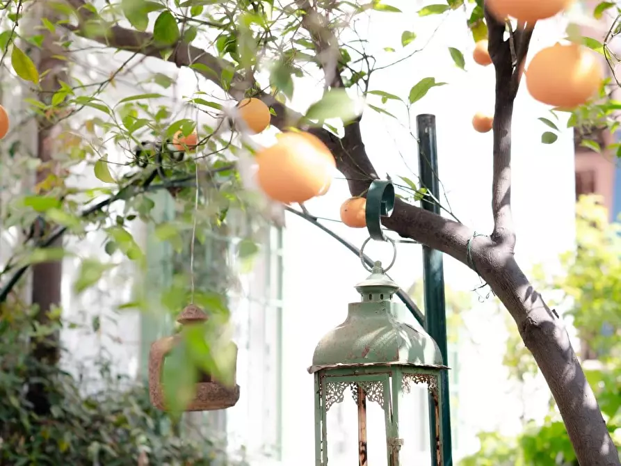 Immagine 14 di Appartamento in vendita  a Livorno