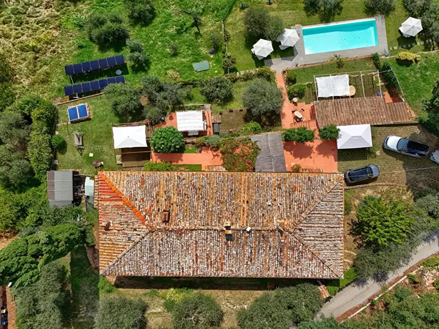 Immagine 6 di Casa colonica in vendita  a Certaldo