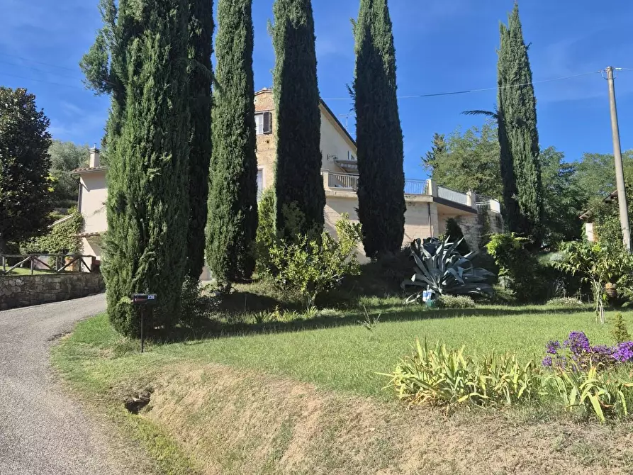 Immagine 30 di Terratetto in vendita  a Casciana Terme Lari