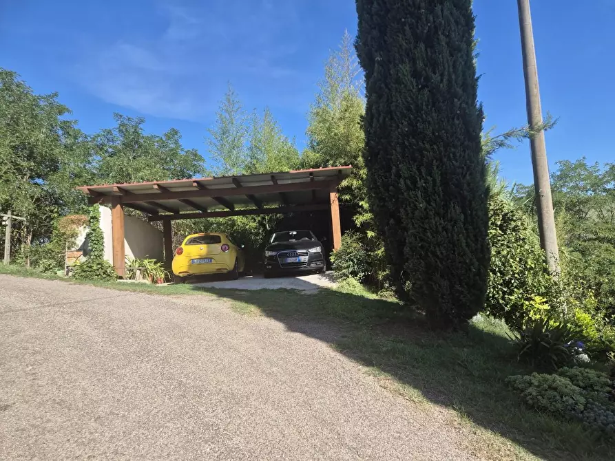 Immagine 26 di Terratetto in vendita  a Casciana Terme Lari