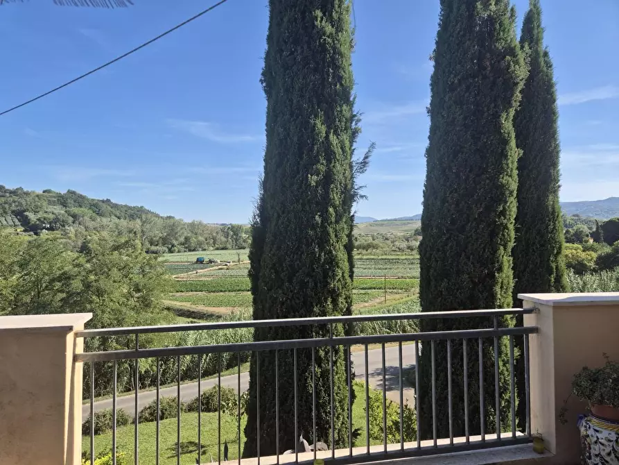 Immagine 24 di Terratetto in vendita  a Casciana Terme Lari