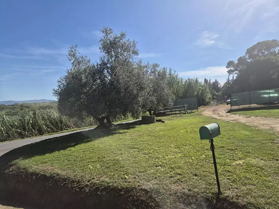 Immagine 29 di Terratetto in vendita  a Casciana Terme Lari