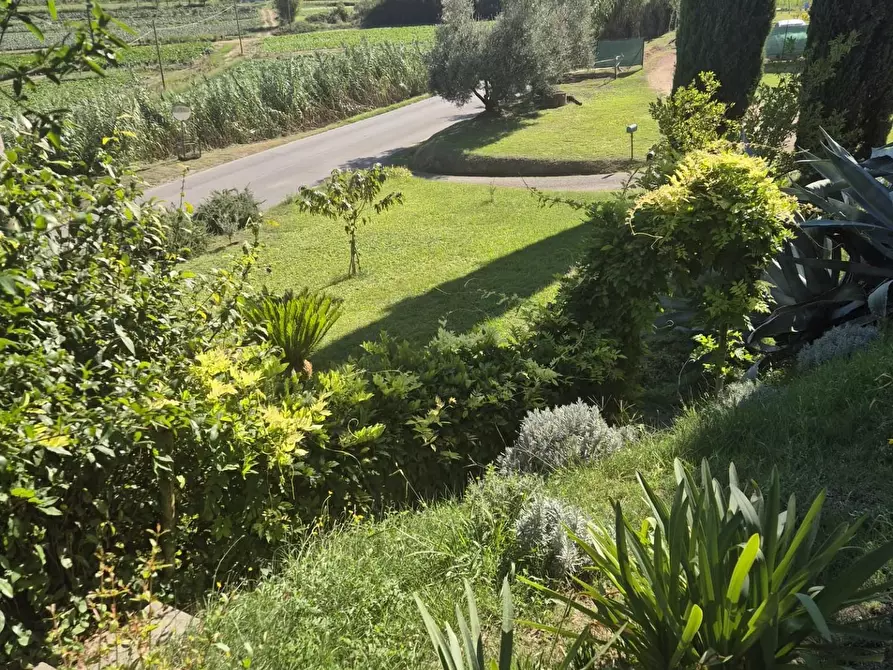 Immagine 5 di Terratetto in vendita  a Casciana Terme Lari
