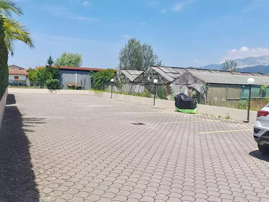 Immagine 8 di Appartamento in vendita  a Massa