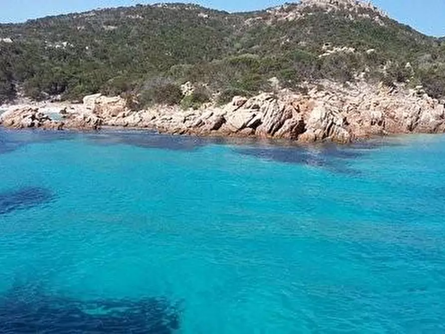 Immagine 20 di Appartamento in affitto  a Carrara