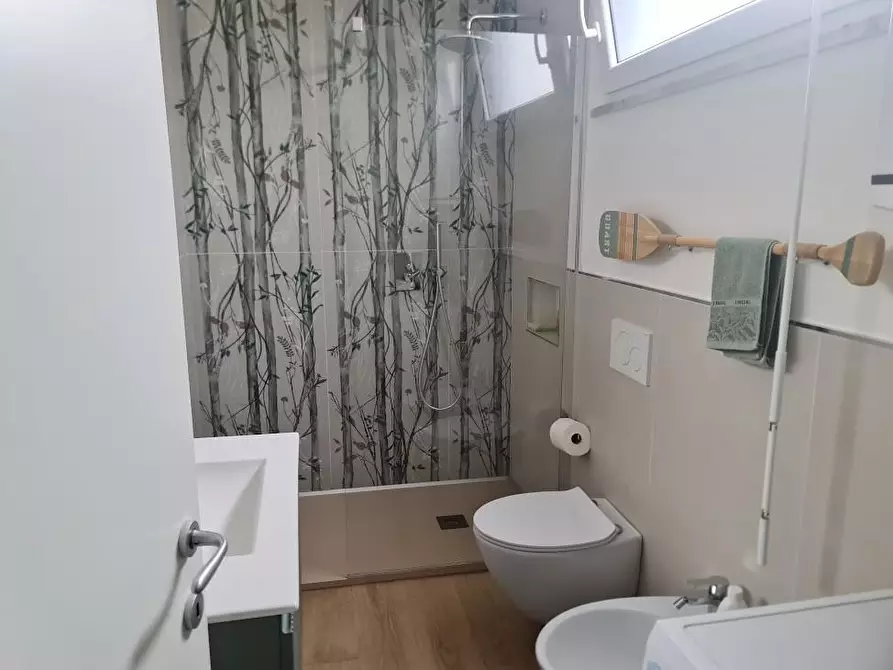 Immagine 11 di Appartamento in affitto  a Carrara