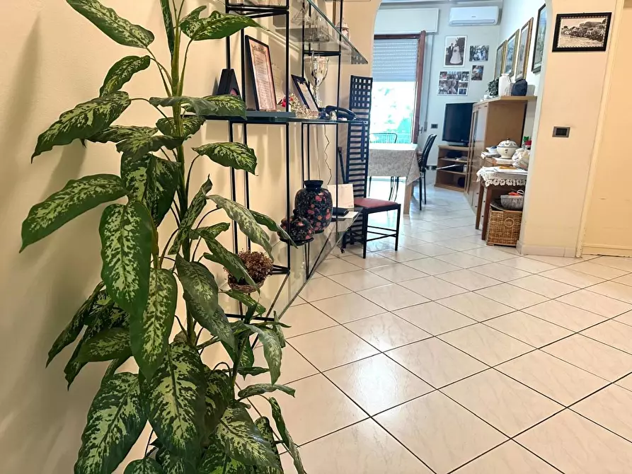 Immagine 54 di Appartamento in vendita  a Empoli