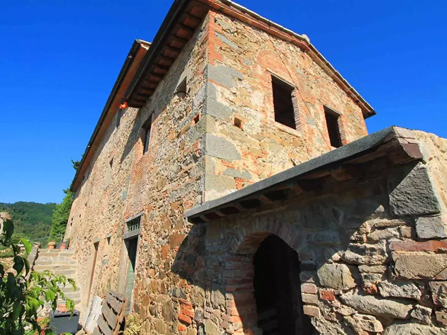 Immagine 21 di Casa colonica in vendita  a Buggiano