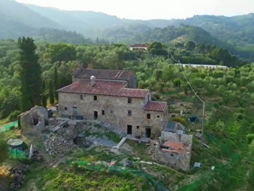 Immagine 2 di Casa colonica in vendita  a Buggiano
