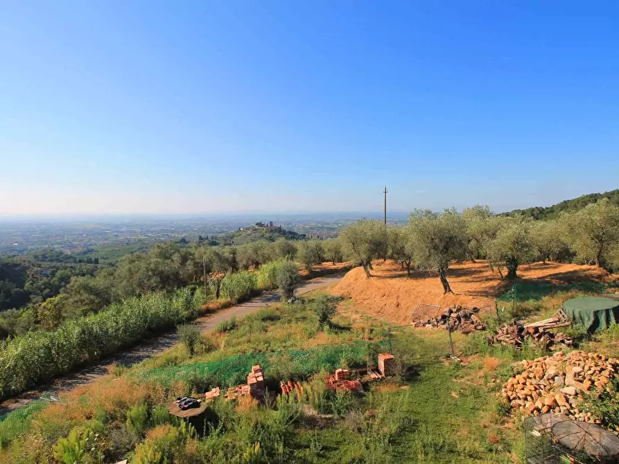Immagine 13 di Casa colonica in vendita  a Buggiano