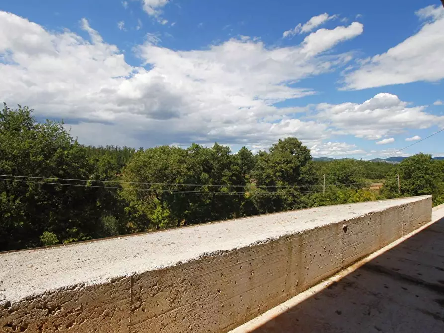 Immagine 6 di Casa colonica in vendita  a Cerreto Guidi