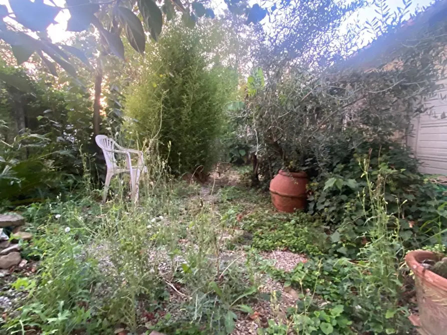 Immagine 28 di Terratetto in vendita  a Montelupo Fiorentino